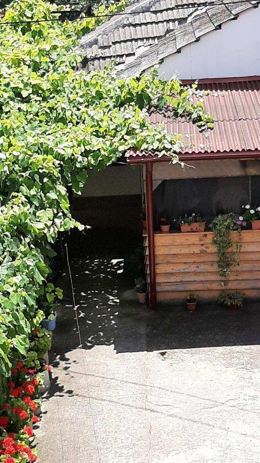 Bcm Family House Hotel Două Mai Buitenkant foto
